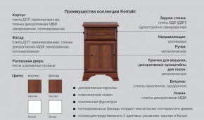 Детская Кентаки Белый в Каслях - kasli.mebel74.com | фото 2