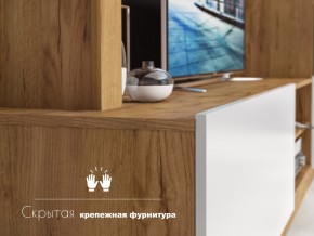 Гостиная Флекс в Каслях - kasli.mebel74.com | фото 4