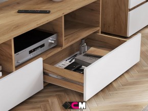 Гостиная Хелен Дуб Крафт золотой/ Белый в Каслях - kasli.mebel74.com | фото 5