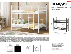 Кровать двухъярусная Скандик 42.20-01 в Каслях - kasli.mebel74.com | фото 2