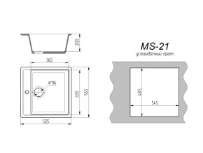 Кухонная мойка MS-21 в Каслях - kasli.mebel74.com | фото 2