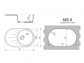 Кухонная мойка MS-5 в Каслях - kasli.mebel74.com | фото 2