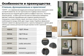 Прихожая Санти Белый/Дуб Крафт Золотой в Каслях - kasli.mebel74.com | фото 3