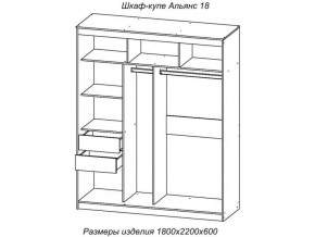 Шкаф-купе Альянс 18 комплект зеркал №4 в Каслях - kasli.mebel74.com | фото 2