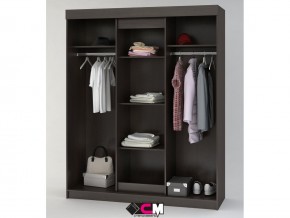 Шкаф купе Фея венге в Каслях - kasli.mebel74.com | фото 2