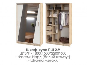 шкаф-купе ПШ-2.9 1500 Норд Белый жемчуг 1500 в Каслях - kasli.mebel74.com | фото