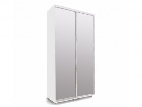 Шкаф-купе Удачный ОУ 14-6-11 белый двухдверный в Каслях - kasli.mebel74.com | фото