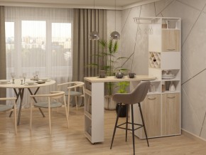 Шкаф перегородка двухсторонний Барс 6-8203 Дуб Сонома в Каслях - kasli.mebel74.com | фото 5