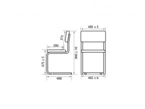 Стул Sylwia chrome Z11 в Каслях - kasli.mebel74.com | фото 2